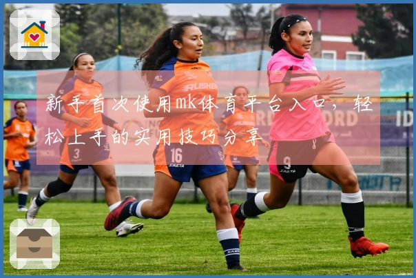 新手首次使用mk体育平台入口，轻松上手的实用技巧分享